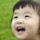 헬로쪼꼬씨