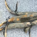 화련농장 이미지