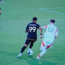 LA FC 손흥민 데뷔골.AVI 이미지