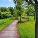 수변공원 정자옆 이미지