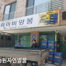 마이비양봉