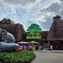 키털이 월드 | 대가족여행] 푸꾸옥 빈펄사파리 VIP 버기투어 가격 구매방법 후기 / 베스트웨스턴에서 빈펄&amp;빈원더스