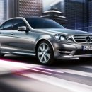 네발로 코리아 이미지