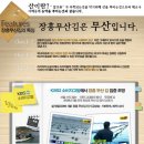 세이네소품가게