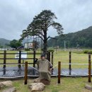 정이품송공원 화장실 이미지