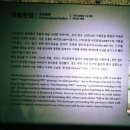 고향달머무는곳 | 수원 화성행궁 야간개장