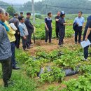 골든에그 이미지