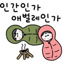 별숲캠핑장 이미지