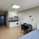 하모리-49 이미지