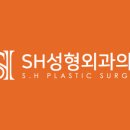 에스에이치정보 이미지