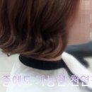 헤어루시 이미지