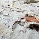 수선세탁 이미지