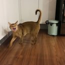 홀릭부천역점 이미지