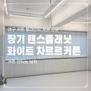 텐스플래닛 주짓수 레슬링 대구 | 대구 차르르커튼 전문 "커튼남", 깔끔한 화이트 커튼 맡겨주세요.