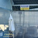 김천 / 구미 대성지 솥뚜껑 닭볶음탕 또갈맛집 &#39;큰소나무가든&#39; 다녀왔어요!!