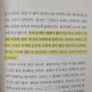 이데아 | 『기사단장 죽이기 1 』현현하는 이데아 후기, 현실과 은유의 경계가 흔들릴 때