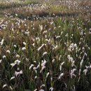 공룡알화석지방문자센터 이미지