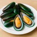 네이쳐스그린라이프 | 홍합효능 푸른홍합 초록홍합 효능 뉴질랜드 초록홍합 추천