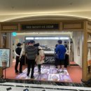 강남애견백화점 네이버블로그