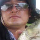 아름다운 그님 이미지