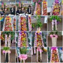 신태인초등학교 이미지