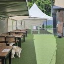 댕글라이프 이미지