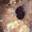 정도너츠 | 경북 영주 풍기읍 속이 편한 건강한 도너츠가 있는 정도너츠 본점