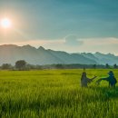 수출 농산물 이미지