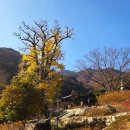 용문사