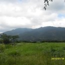 진척농장 이미지