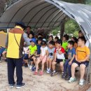 춘천유치원 이미지