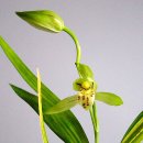 죽백3로 이미지