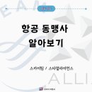 스타항공여행사 Daum카페