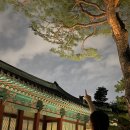 천아트(야간) 이미지