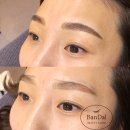 반달(BANDAL) 네이버블로그