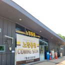 보태니컬 아트 / 강좌번호 22 | [인천대공원 푸드코트] 동문 온센푸드코트 맛집 총정리! (정수기 없음 필독, 7월 물놀이장 개장 정보 추가)