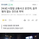 [속보] 시청앞 교통사고 운전자, 음주 혐의 없는 것으로 파악 이미지