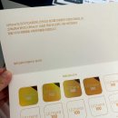 에스에이치의원 이미지