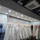 [W-7] 강남드레스투어(안나스포사, 케이트린, 르네 아뜰리에) 및 계약 후기(계약 O)