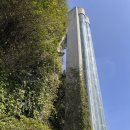 바로바로 카 서비스 | 다낭 렌트카 갈만한곳 12시간 투어 후기