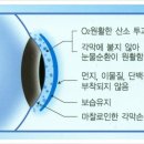 아이콘안경원 네이버블로그