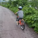 방주 농원 펜션 이미지