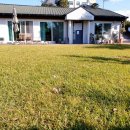 스테이비갠오후 이미지