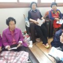 세포마을회관 이미지