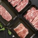 파이팅정육점 - 3571 | 파이팅정육점