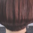 2H Hair
