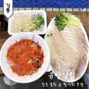 강릉 중앙시장 횟집 물회 &amp; 오징어 포장 맛집 유성상회