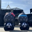 [250606] 수원삼성 vs 성남fc / 에이씨 기분이다 수원삼성 승격 ~!