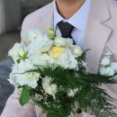 땡스투꽃