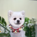 양덕동275 이미지